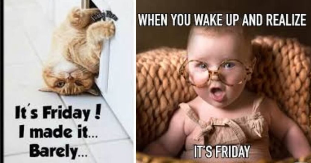  Friday Meme Funny Trends Changed Over Time