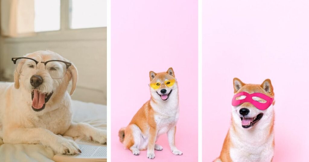 these Memes Help to Improve your Mood