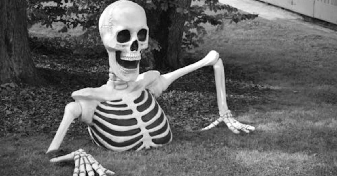 Skeleton Memes