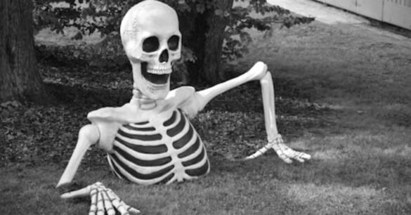 Skeleton Memes
