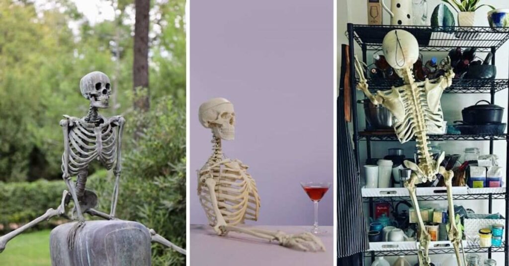 Skeleton Memes and Their Funny Meanings