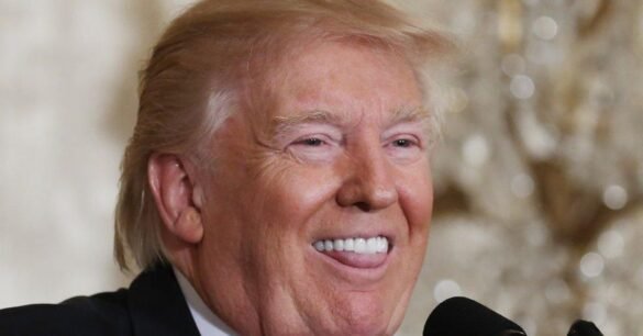 funny trump memes