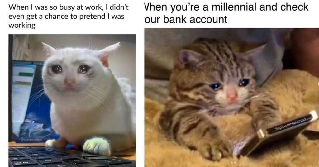 How the Crying Cat Meme Spread Across the Internet